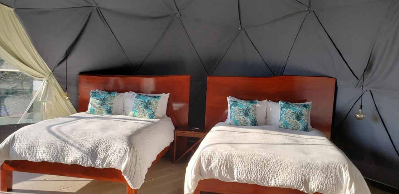 Chira Glamping Resort Monteverde Exteriér fotografie
